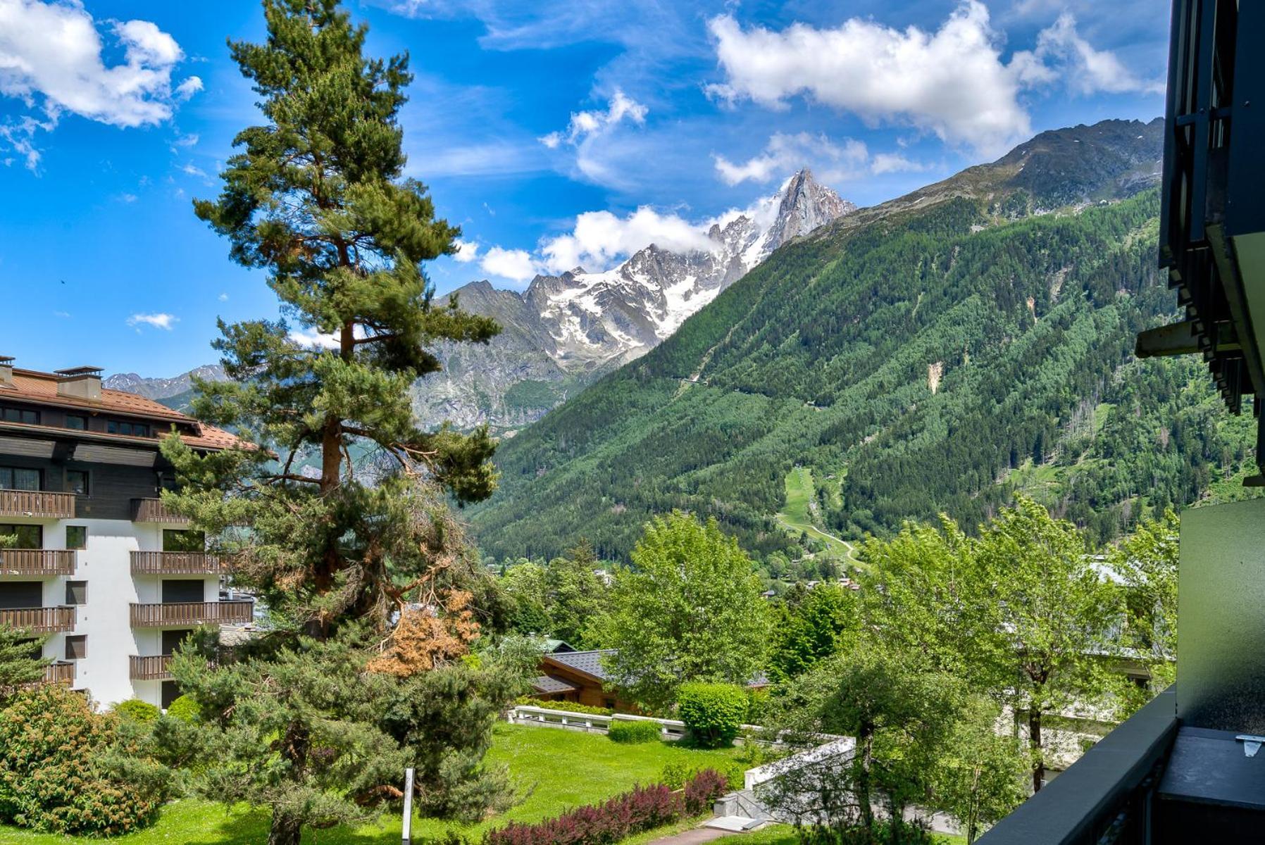 Le Brevent 2 Apartment Chamonix Eksteriør billede